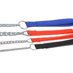 宠物扁平链 Thumnail